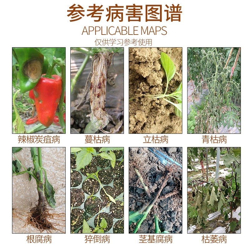 根部病害农药复活三号福美双死苗烂根腐病立枯猝倒病茎基腐病