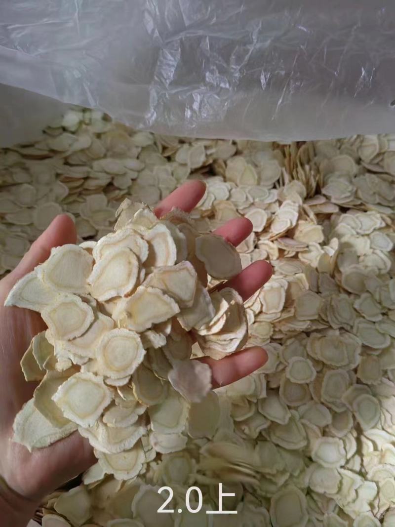 西洋参