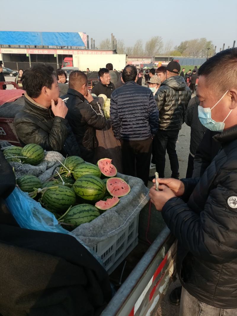 全美2k西瓜礼品小西瓜奶油西瓜手掰西瓜小糖丸西瓜