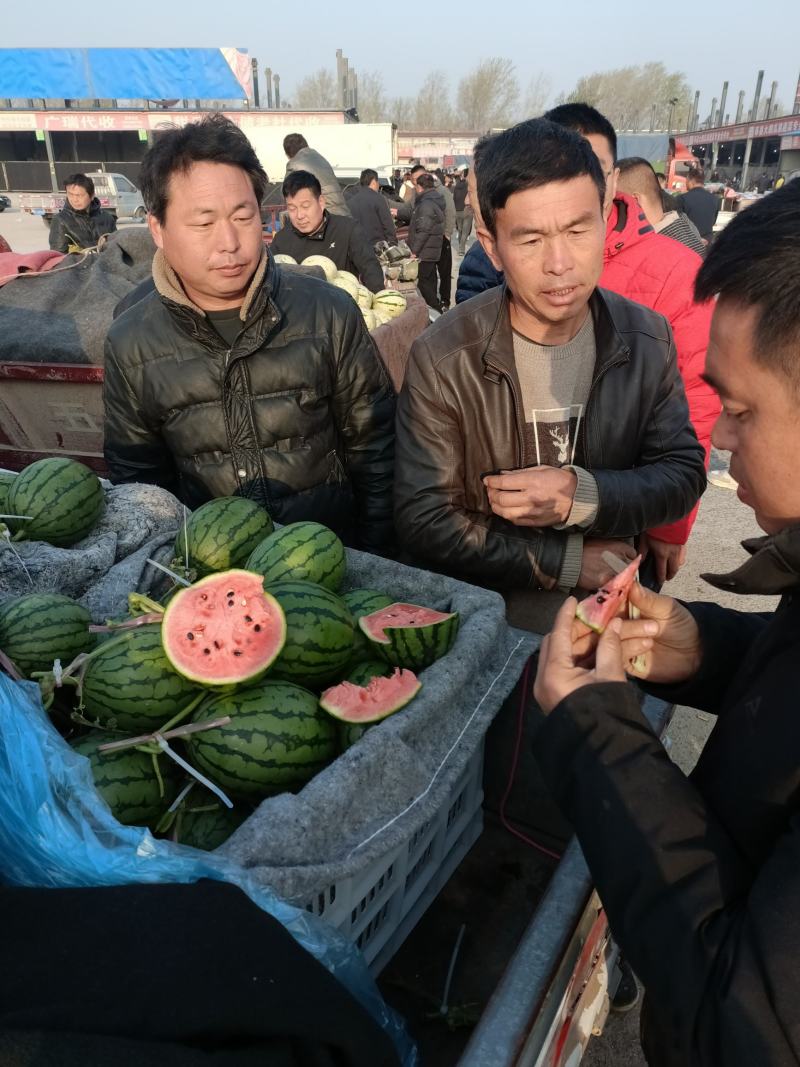 全美2k西瓜礼品小西瓜奶油西瓜手掰西瓜小糖丸西瓜