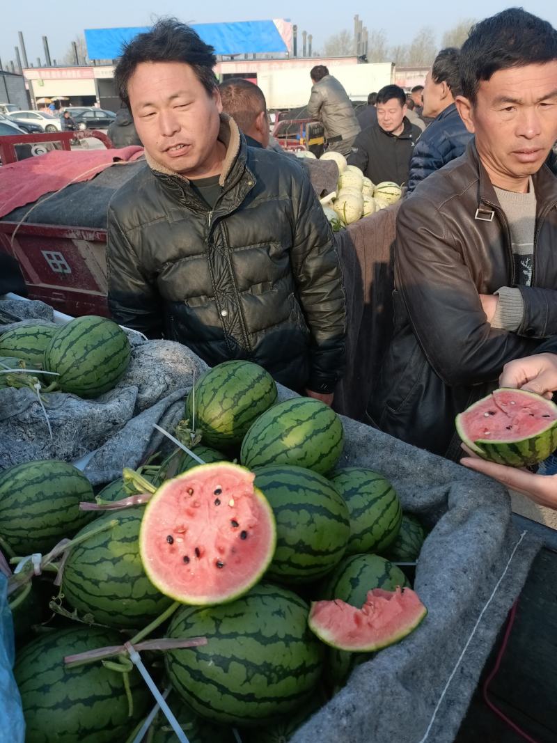 全美2k西瓜礼品小西瓜奶油西瓜手掰西瓜小糖丸西瓜