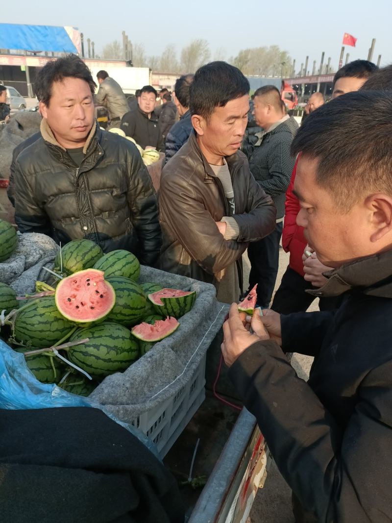 全美2k西瓜礼品小西瓜奶油西瓜手掰西瓜小糖丸西瓜