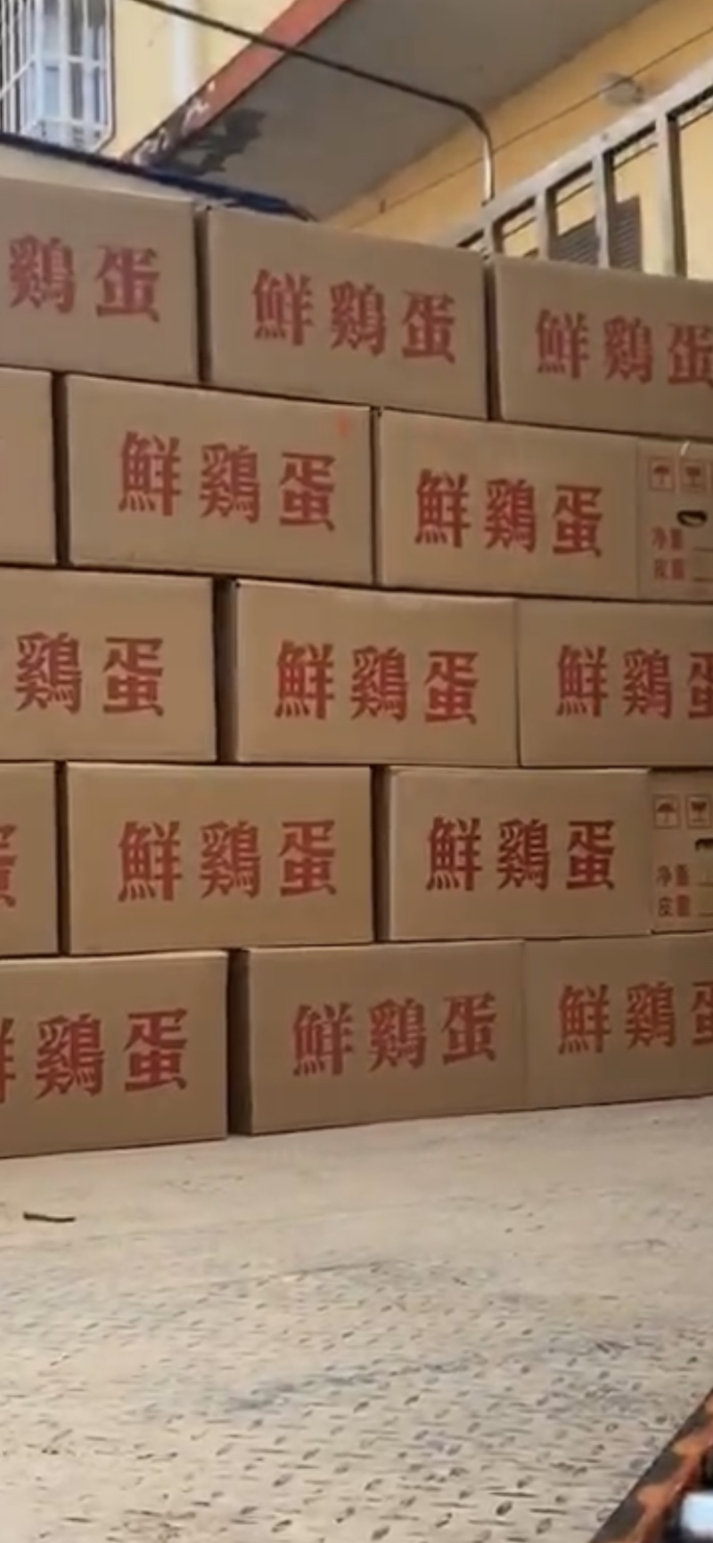 常年出售红壳蛋