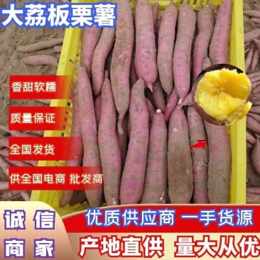 陕西大荔秦5号量大从优,陕西板栗薯香甜,糯,全国包邮代发