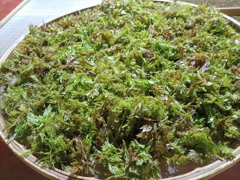 湖南莓茶，基地直发对接全国，可实地考察视频看货，欢迎来电