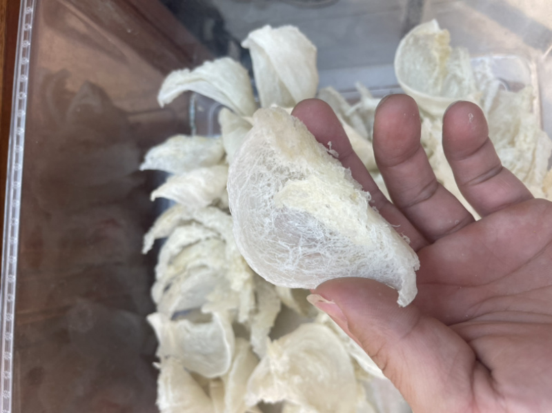 燕盏，干挑大盏，纯干挑，品质燕盏