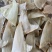 鱼翅，金勾翅，天九翅，虎勾翅，茶勾翅，五羊勾翅，勿骨勾翅