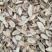 郁金中药材川郁金片玉金泡茶可磨粉新货上市农家自产按方抓药