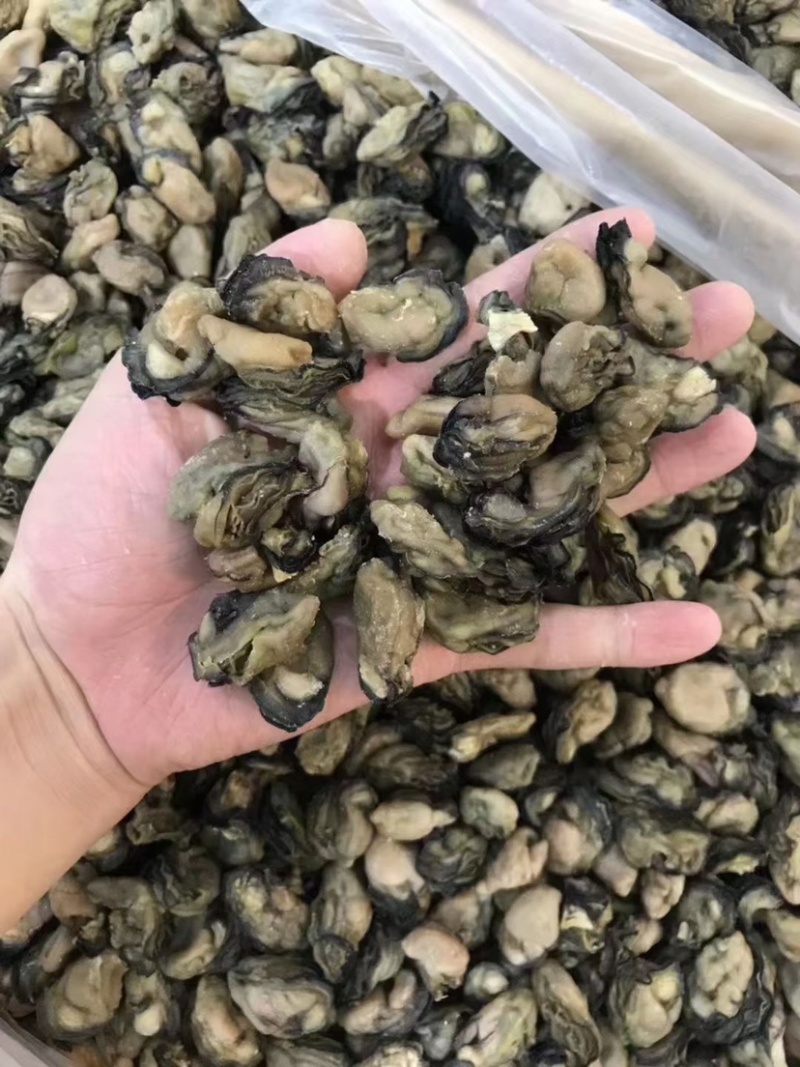 海蛎干生蚝干蚝肉干货牡蛎干熟肉淡晒社区团购批发