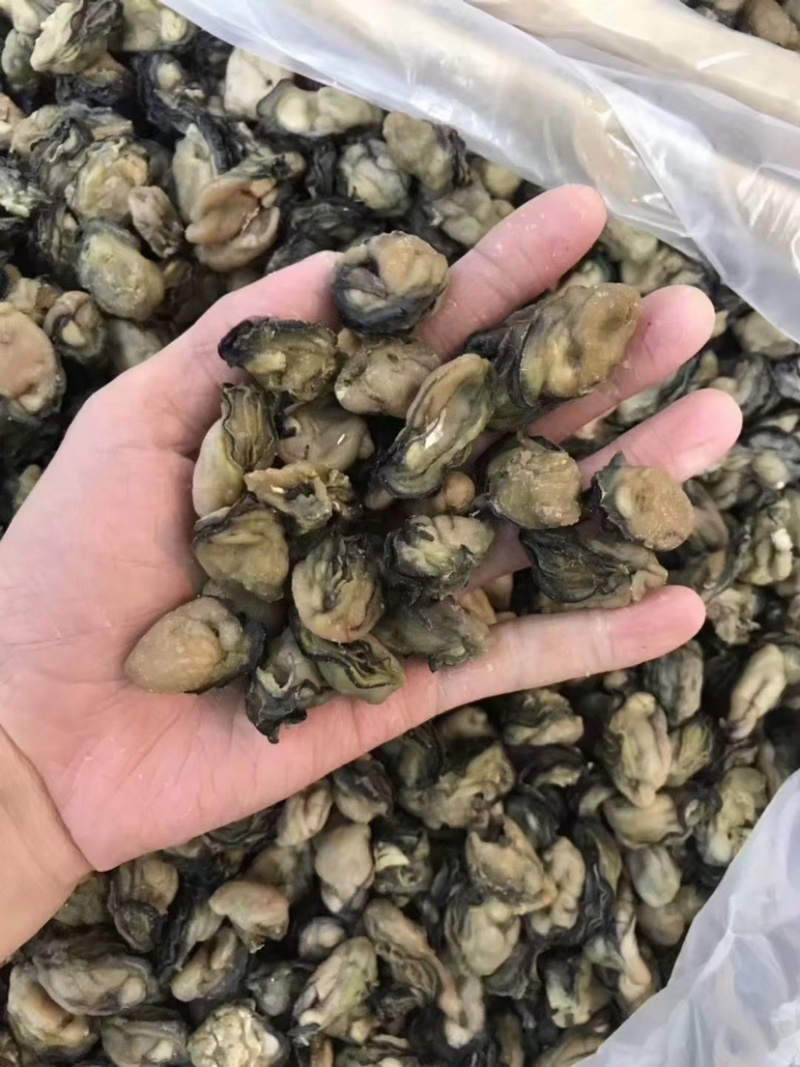海蛎干生蚝干蚝肉干货牡蛎干熟肉淡晒社区团购批发