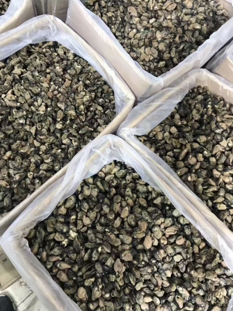 海蛎干生蚝干蚝肉干货牡蛎干熟肉淡晒社区团购批发