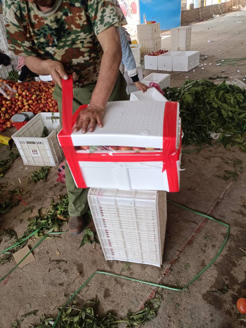 大量供应四号油桃