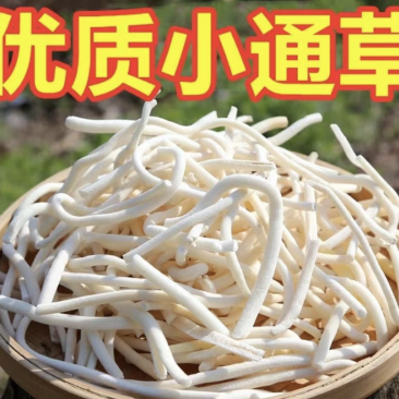 小通草优质小通草价格低质量优文斌药业批发零售