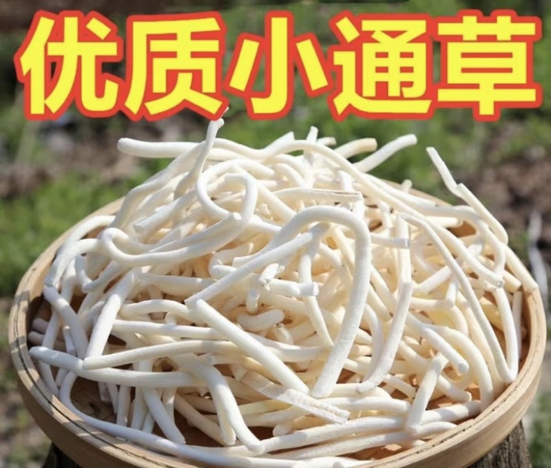 小通草优质小通草价格低质量优文斌药业批发零售