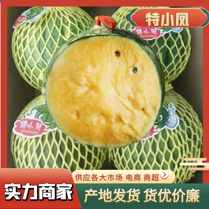 江苏特小凤西瓜对接商超批发商产地直销全国代发量大从优