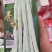 红花白荚紫花白荚无筋白四季豆种子架豆种子/科兴