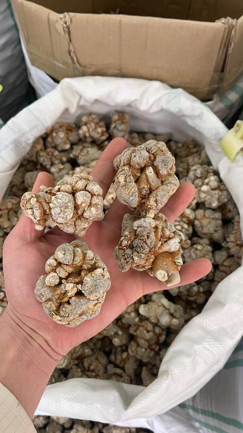 云南文山三七田七金不换软黄金新货上市农家自产帮磨粉包邮