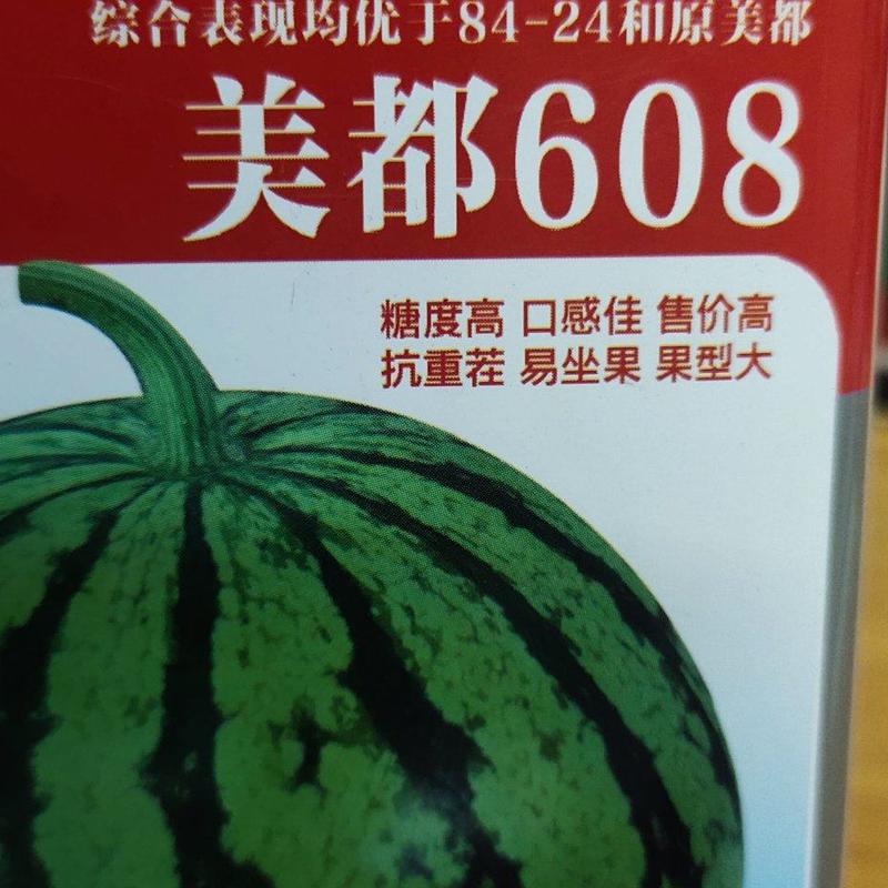 西瓜种子美都608，优于8424和原美都，大红瓤