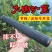黄鳝笼子鳝鱼泥鳅龙虾加厚塑料倒须一字笼62cm加长款