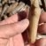 双头蛏！小人蚬当地人现挖现卖！速冻发货！自产自销无差价