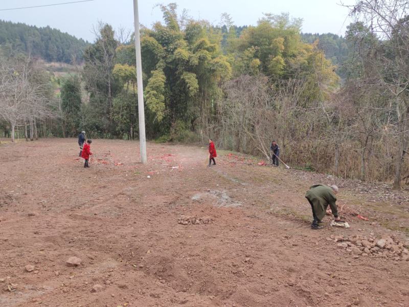 碉楼村村委流转集体土地100亩，全部通公路，价格可商量，