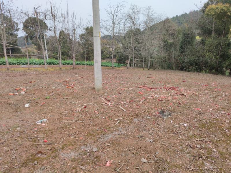 碉楼村村委流转集体土地100亩，全部通公路，价格可商量，