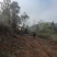 碉楼村村委流转集体土地100亩，全部通公路，价格可商量，