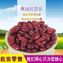 红芸豆批发大颗粒英国红芸豆五谷杂粮新红腰豆