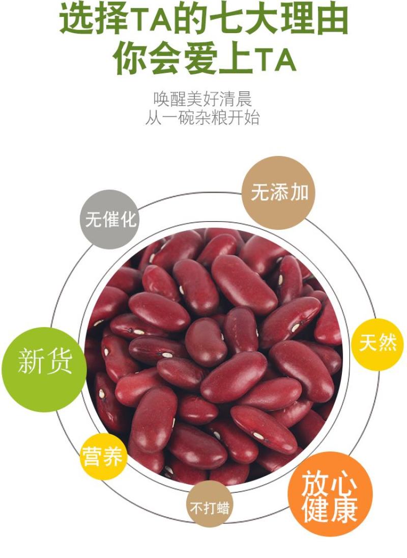 红芸豆批发大颗粒英国红芸豆五谷杂粮新红腰豆