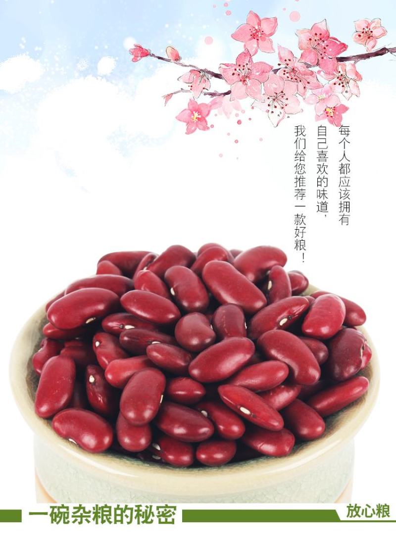 红芸豆批发大颗粒英国红芸豆五谷杂粮新红腰豆