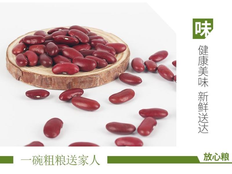 红芸豆批发大颗粒英国红芸豆五谷杂粮新红腰豆