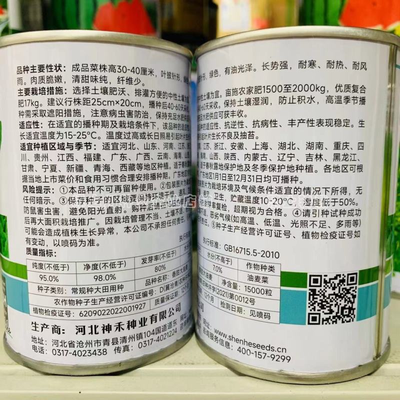香甜大油麦菜种子基地专用耐热耐寒耐风雨，清甜味纯