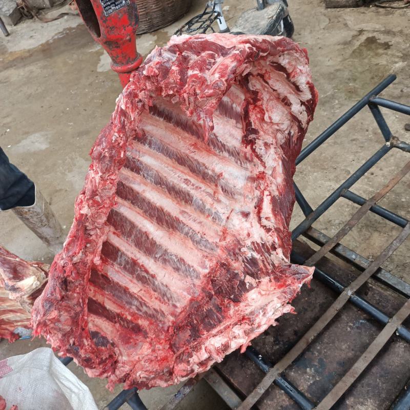 【牛商推荐】国产纯干多肉牛排，货源充足，一手货源