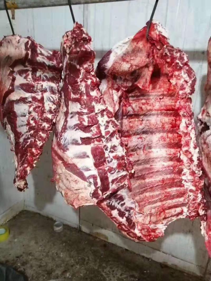 【牛商推荐】国产纯干多肉牛排，货源充足，一手货源