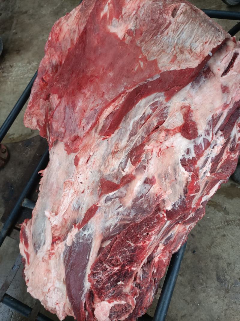 【牛商推荐】国产纯干多肉牛排，货源充足，一手货源