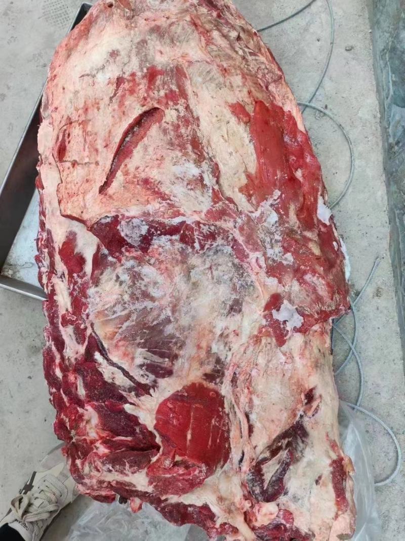 【牛商推荐】国产纯干多肉牛排，货源充足，一手货源