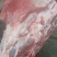 【牛商推荐】国产纯干多肉牛排，货源充足，一手货源