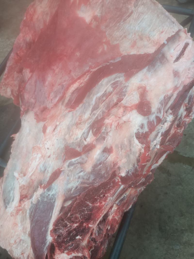 【牛商推荐】国产纯干多肉牛排，货源充足，一手货源