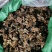 大朵木棉花，干度好，总香味浓，无硫新货，颜色靓