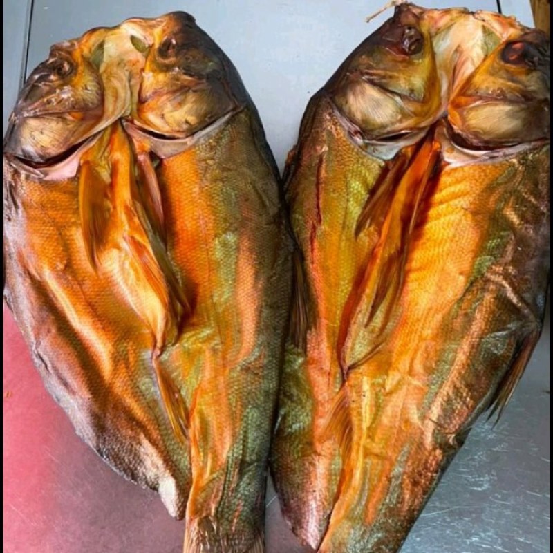 腊连鱼