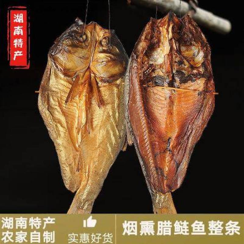 腊连鱼