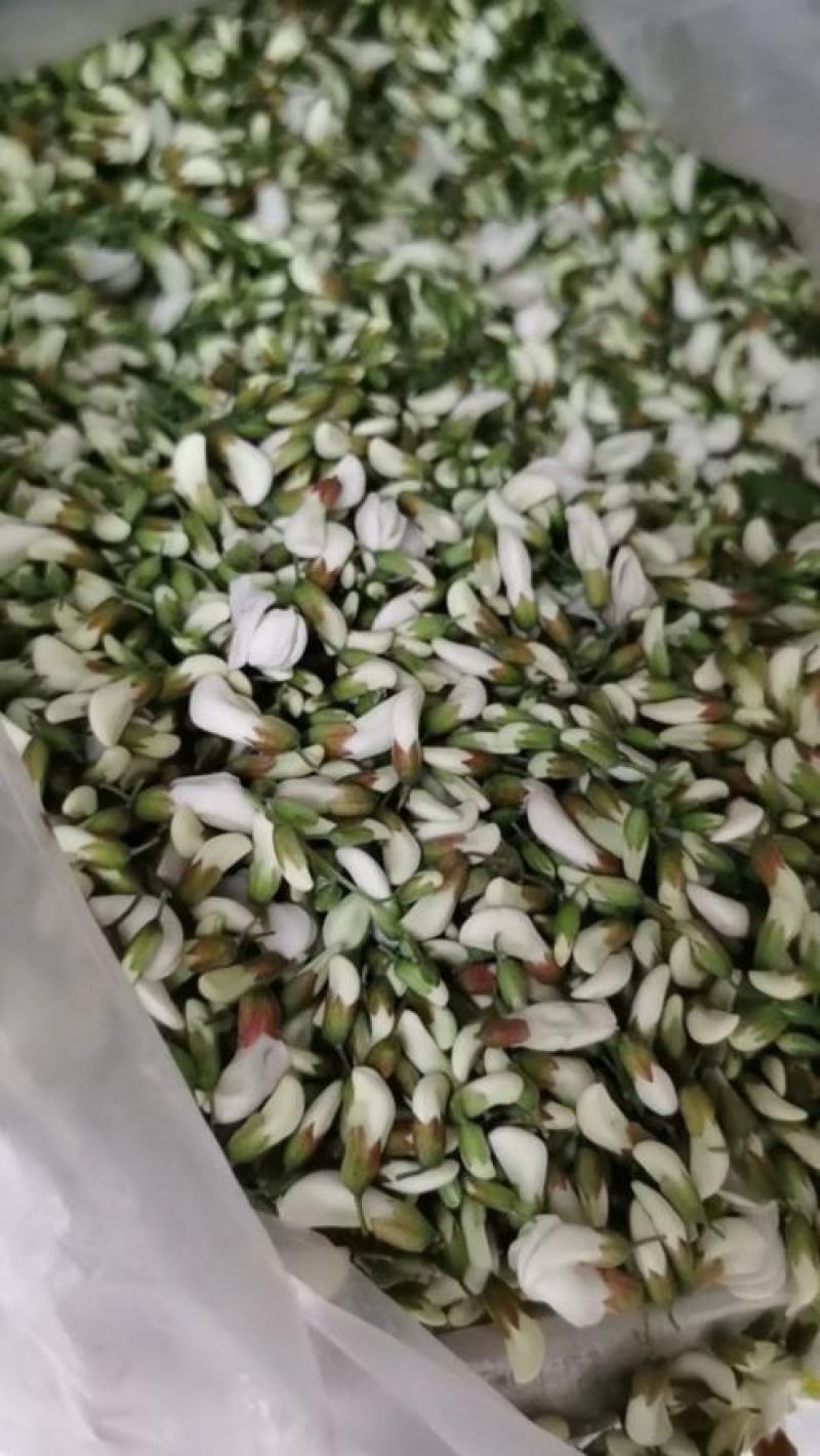 槐花