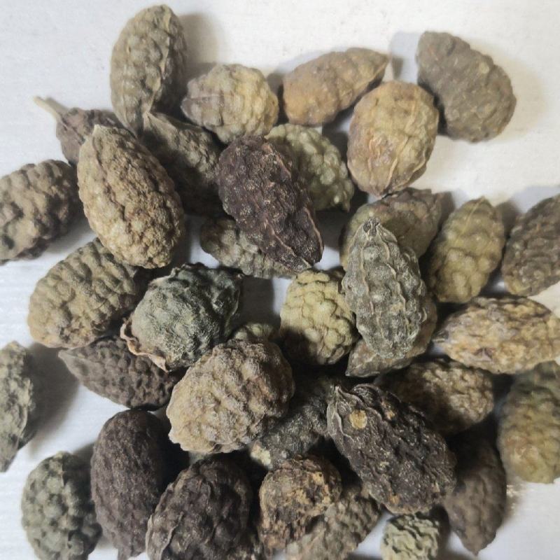野西瓜冷背奇药材，外用药材大量有货，需要联系我
