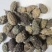野西瓜冷背奇药材,外用药材大量有货,需要联系我