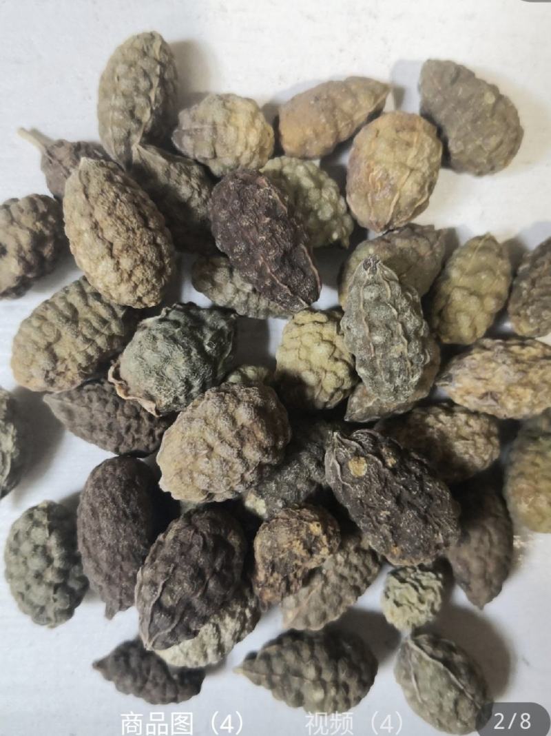 野西瓜冷背奇药材，外用药材大量有货，需要联系我