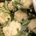 白花菜花1斤适中乳白