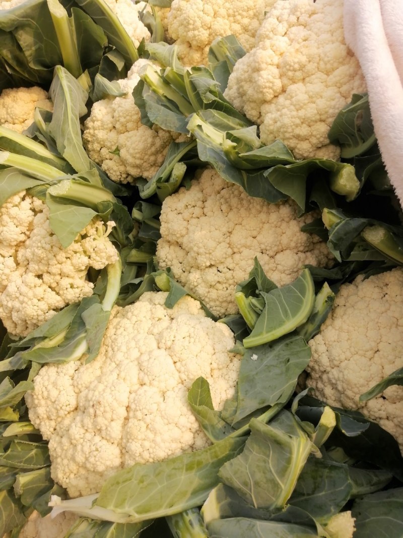 白花菜花1斤适中乳白