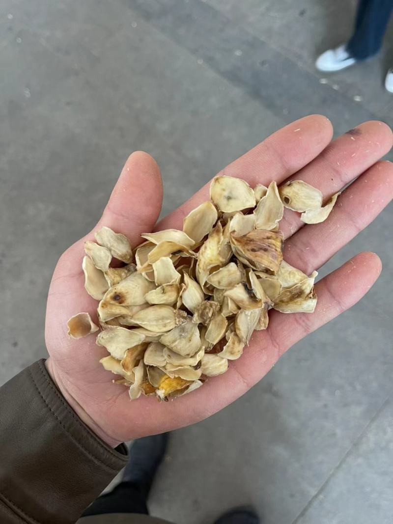 湖南龙牙无硫百合干新鲜大片特产干货新货上市农家自产一件代