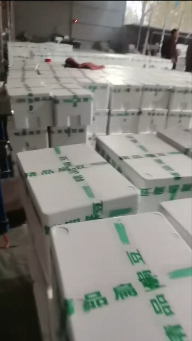 精品扁豆电商产地直发品质保证代发全国市场欢迎考察