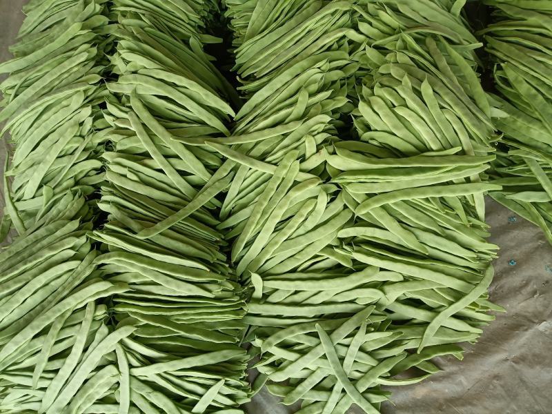 精品扁豆电商产地直发品质保证代发全国市场欢迎考察